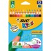 Bic Kids Evolution Üçgen Jumbo Kuru Boya Kalemi 12'Li Kutu