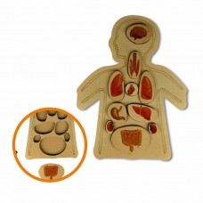 AHŞAP ORGANLAR PUZZLE