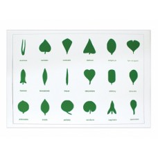 Botanik Dolabı Kontrol Kartları Botanik Dolabı Kontrol Kartları