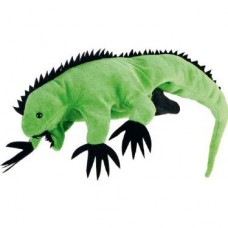 Beleduc Iguana