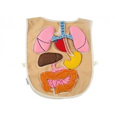 Kumaş Organ Önlüğü (Sök-Tak)