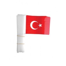 Saplı Türk Bayrağı