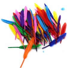 Renkli Tüy Paket